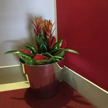 Cortina Hotel Garda (Verona)